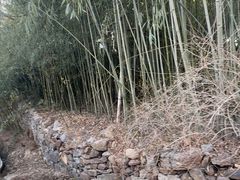 -竹泉村旅游度假区