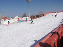 -沈阳奥体冰雪嘉年华