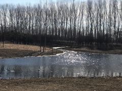 -东郊湿地公园