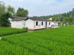 -溱湖国家湿地公园