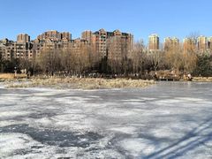 -前关湿地公园