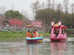 -圩墩遗址公园