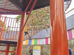 -中国福利会少年宫