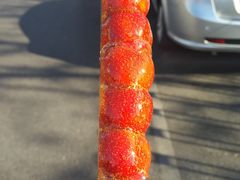 -和禄德冰糖葫芦