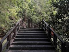 -同里国家湿地公园