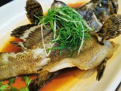 -山泉公馆酒家(珠江新城店)