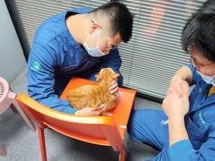 -伟伟宠物医院·CT影像中心·瑞派犬猫综合性门诊(汉口总院)