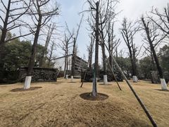 -那拉提之疆·新疆菜(美院店)