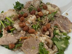 -东鸽皇(奥园·中环广场店)