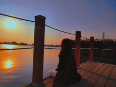 -芒洲湿地公园