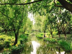 -杭州城北体育公园