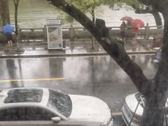 -潮镇老尾牛杂(环城西路店)