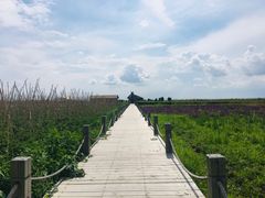 -人民防洪胜利纪念塔