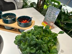 -烹然四季椰子鸡火锅(姚家园万象汇店)