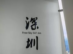 -平安金融中心云际观光层