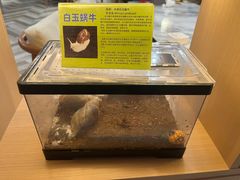 -御海8号温泉酒店