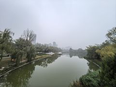 -渭滨公园