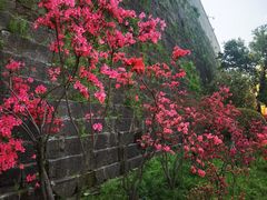 -老门东历史文化街区