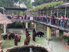 -深圳野生动物园