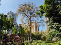 -晓港公园