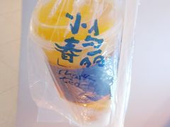-春丽小马(济南恒隆广场店)