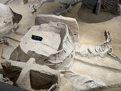 -洛阳周王城天子驾六博物馆