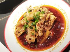 -新概念来凤鱼(璧山店)