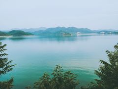 -望湖烤鱼