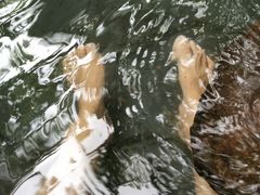 -三亚珠江南田温泉度假区