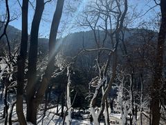 -鲁山国家森林公园