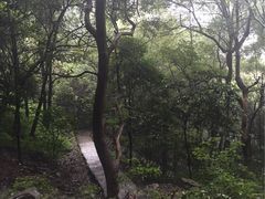 -严子陵钓台(富春江小三峡)