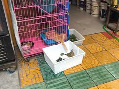 -中国兰州牛肉面(西域特色美食)