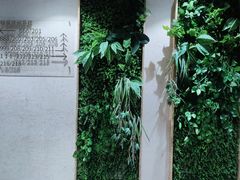 -秦垣味道