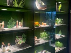 -慢丽江·云南野生菌土鸡锅(西山店)