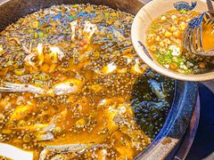 -石锅苗苗鱼(武汉首店)