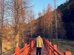 -广州市石门国家森林公园