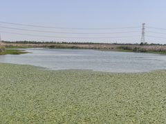 -宁波杭州湾国家湿地公园