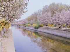 -元大都城垣遗址公园