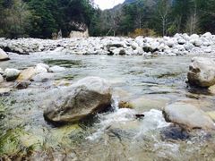 -黑河国家森林公园