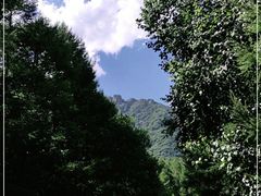 -白草畔自然风景区