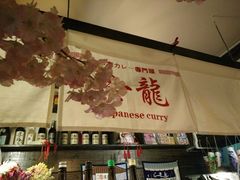 -金龙咖喱