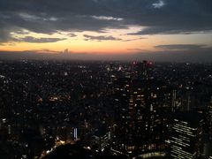 -东京都厅舍