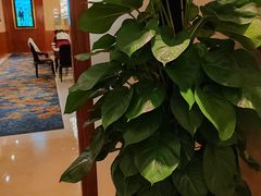 -深圳星河丽思卡尔顿酒店