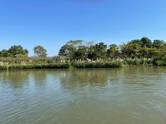 -下渚湖国家湿地公园科普馆