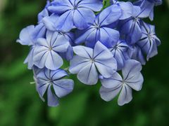 -北京植物园-展览温室