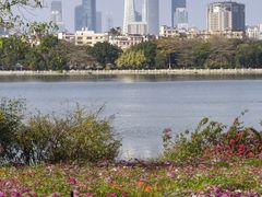-海珠湖公园