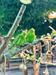 -酷嗒动物文化乐园(cutezoo西溪乐天城店)