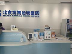 -北京观赏动物医院·24小时大型综合·猫专科·异宠专科