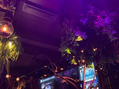 -胡桃里音乐酒馆(环亚凯瑟琳广场店)