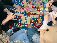 -长白岛森林公园